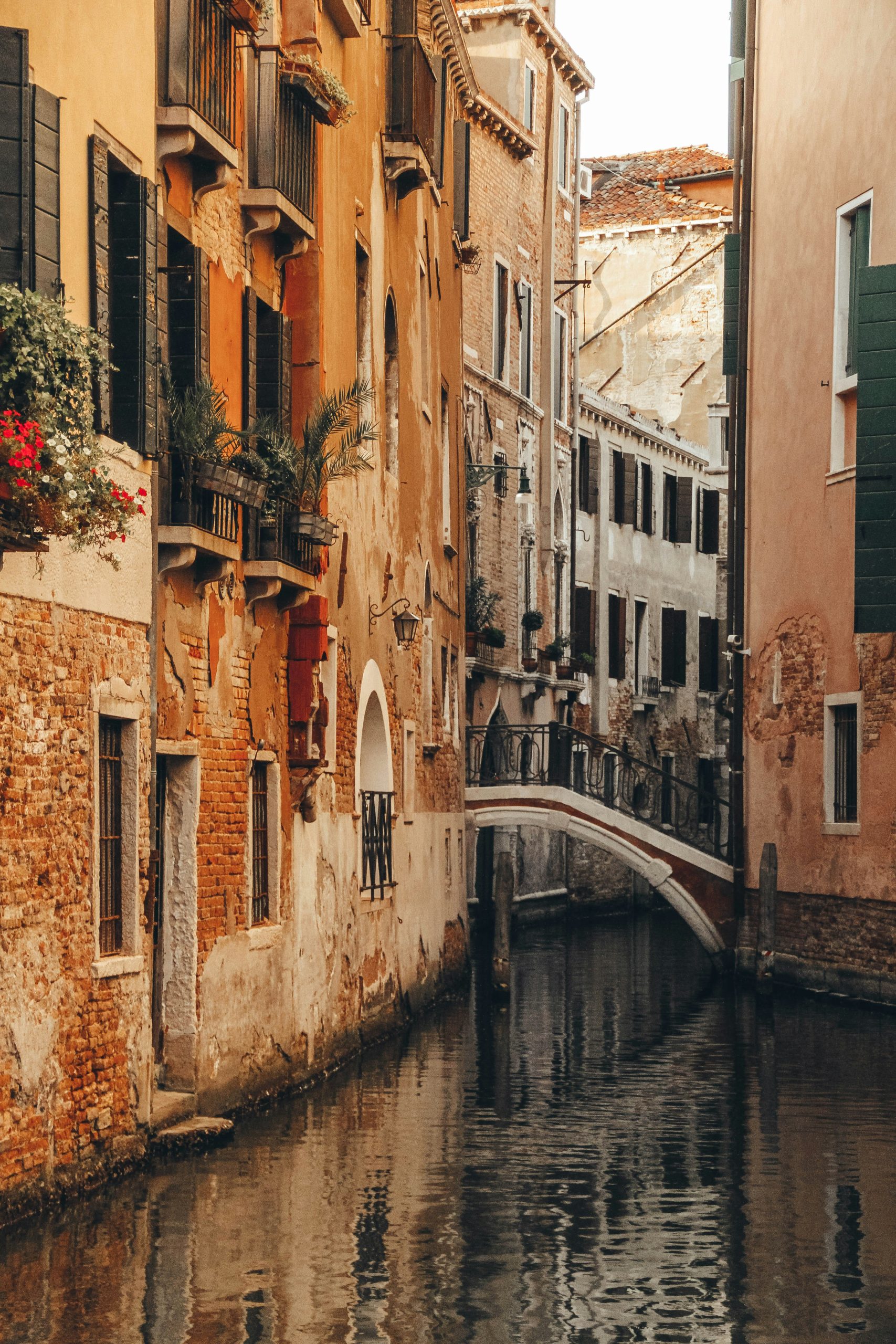 liubov-ilchuk-dMrM7sme7cc-unsplash